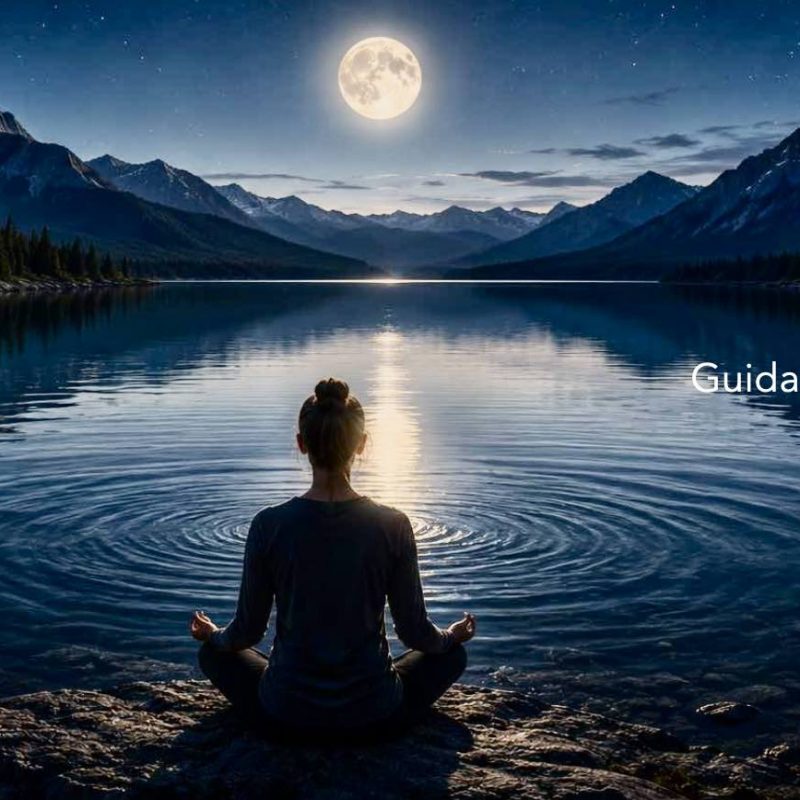 Une femme est assise en lotus ausol devant un lac sur lequel se reflète la lune. Il fait nuit, une nuit bleutée. Les montagne entourent le lac. La lune représente l'esprit qui voit son reflet dans le lac, comme le méditant voit le reflet de son esprit dans la clarté et la stabilité. C'est une image pour un programme de guidance de méditation. L’expérience est au centre. Les personnes explorent leur propre vécu intérieur. Elles apprenent à reconnaître ce qui se joue réellement en elle.
